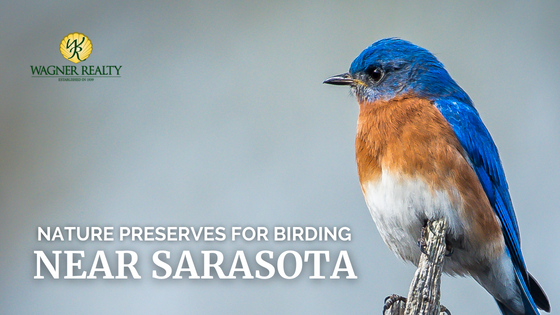 Nature Preserves Sarasota